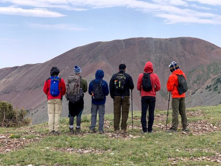 Group Tour