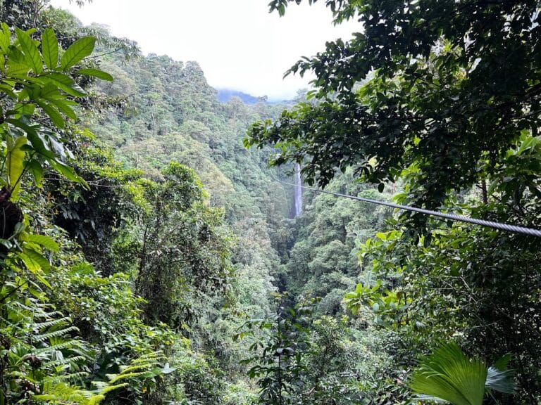 Distant waterfall falling through dense rainforest canyon, Costa Rica