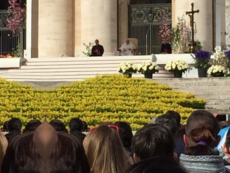 The Wednesday general audience in St Peter's Square viewed from far back in the crowd