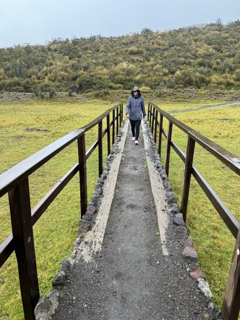 A raised boardwalk crossing green páramo grassland in Cotopaxi National Park, Ecuador, with a walker in the distance