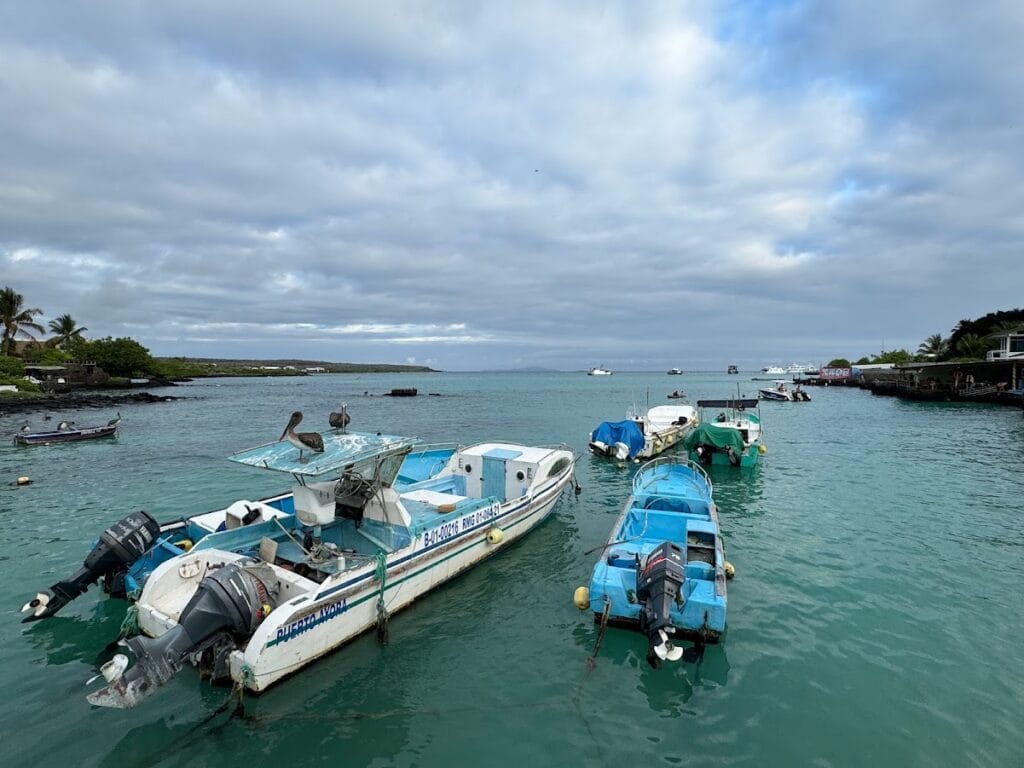 Small day boats and pangas moored at the waterfront in Puerto Ayora, Santa Cruz, Galápagos