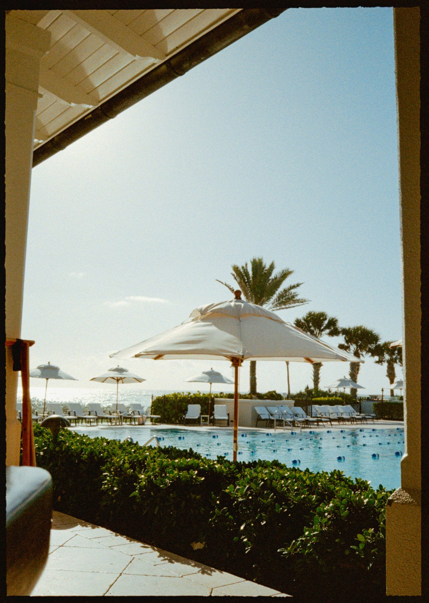 White umbrellas and loungers beside a resort pool facing the ocean