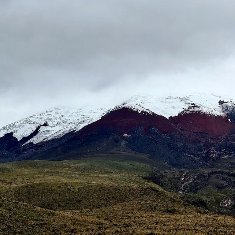 Snow-capped Cotopaxi volcano above Andean grassland, Ecuador
