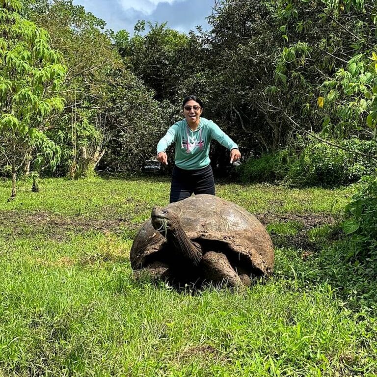 Traveler standing behind a wild Galápagos giant tortoise in the Santa Cruz highlands