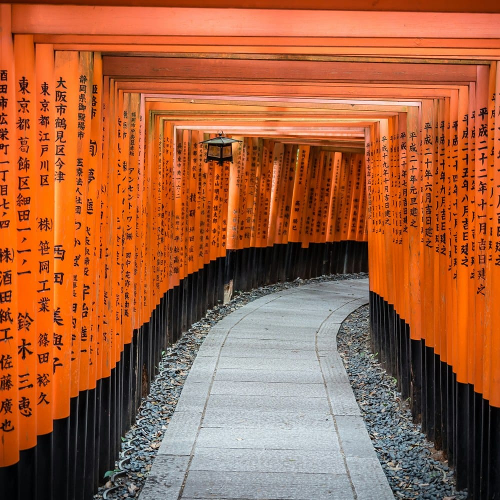 Path lined by rows of orange torii gates with black inscriptions, Fushimi Inari, Kyoto.