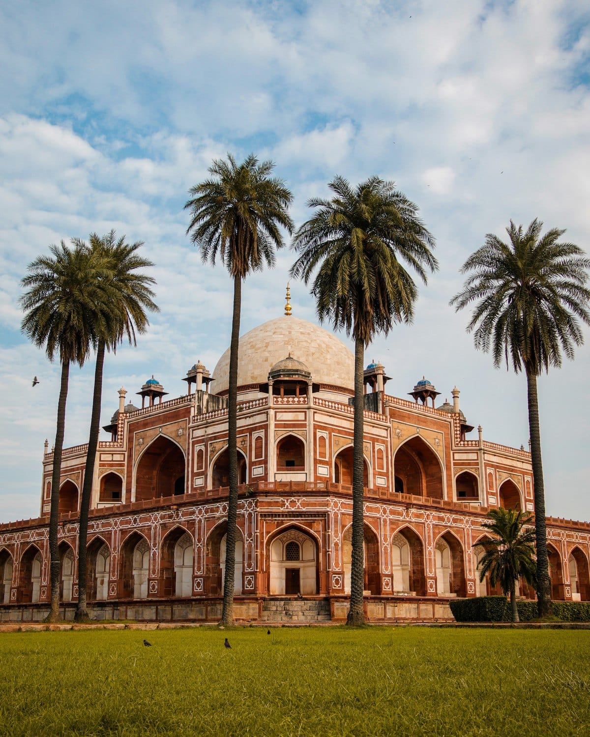 Humayun's Tomb framed by palm trees, Delhi