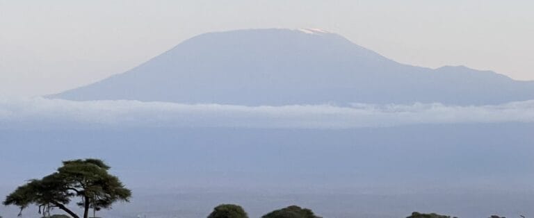 Mount Kilimanjaro rising above the acacia scrub of Amboseli National Park, southern Kenya