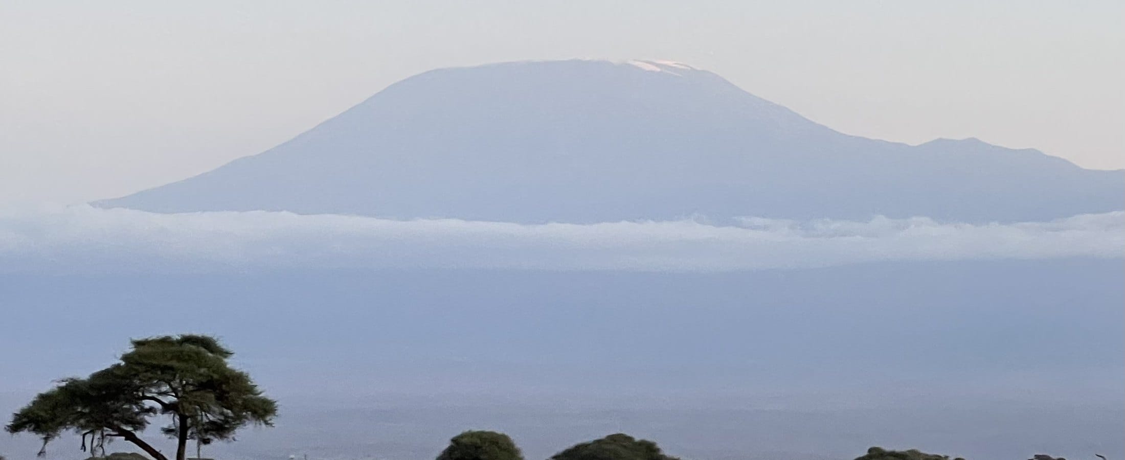 Mount Kilimanjaro rising above the acacia scrub of Amboseli National Park, southern Kenya