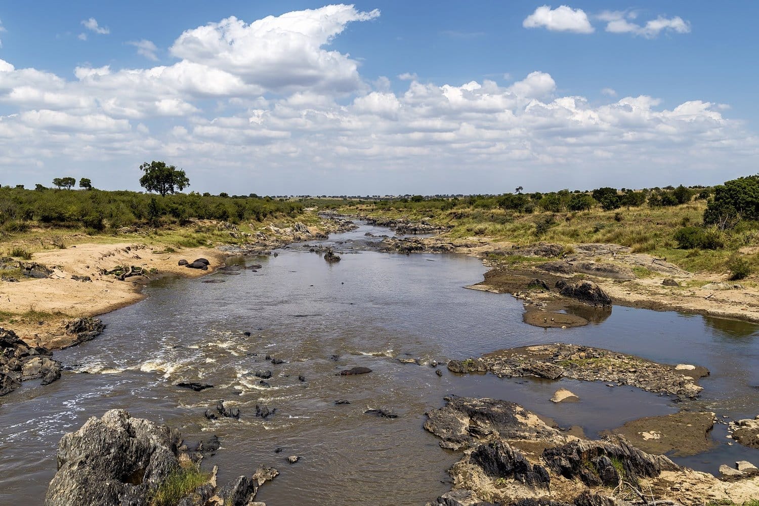 The Mara River through the Maasai Mara, Kenya