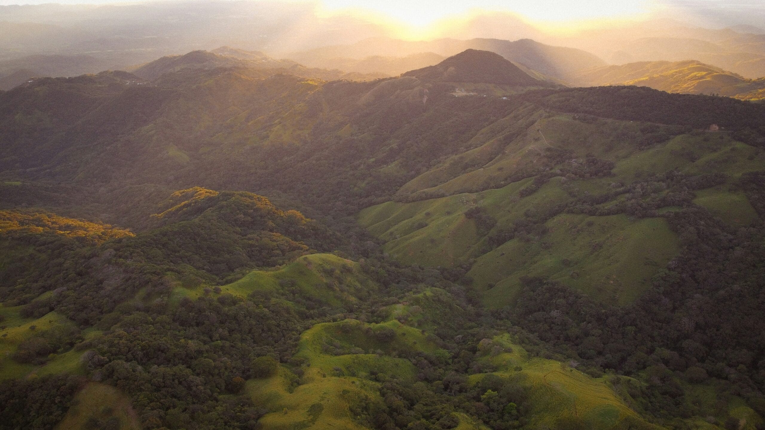 Monteverde cloud forest