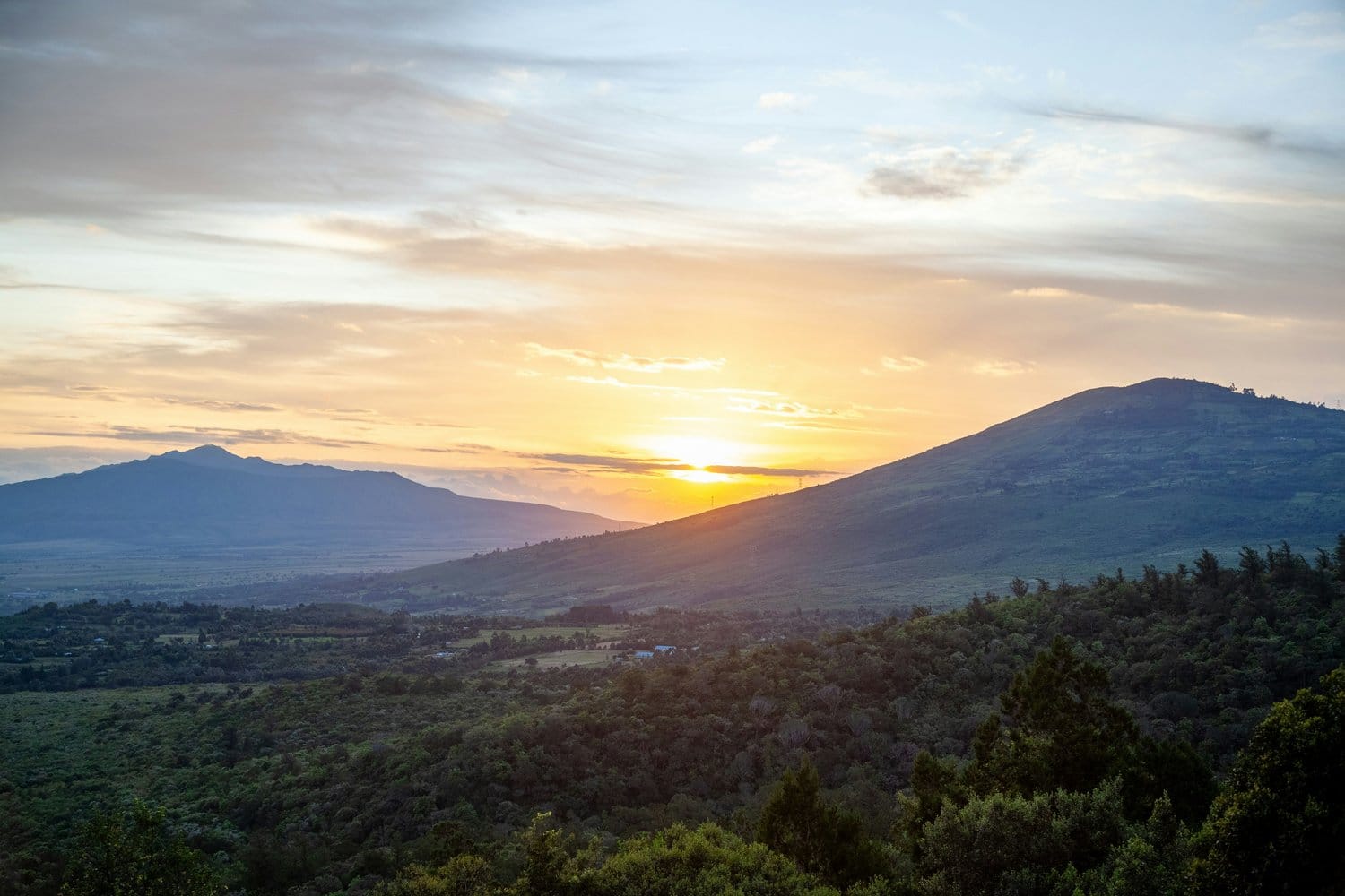 Green highland hills and valley at sunset