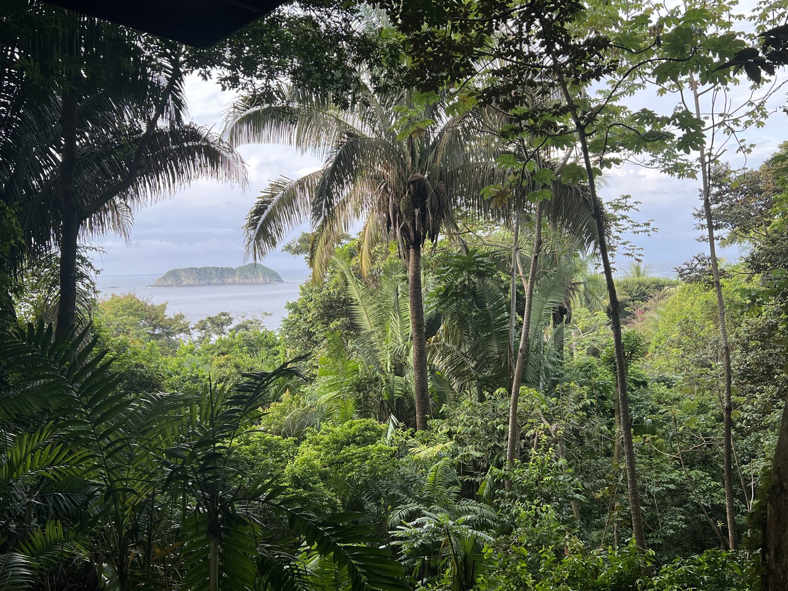 Rainforest coastline and islands