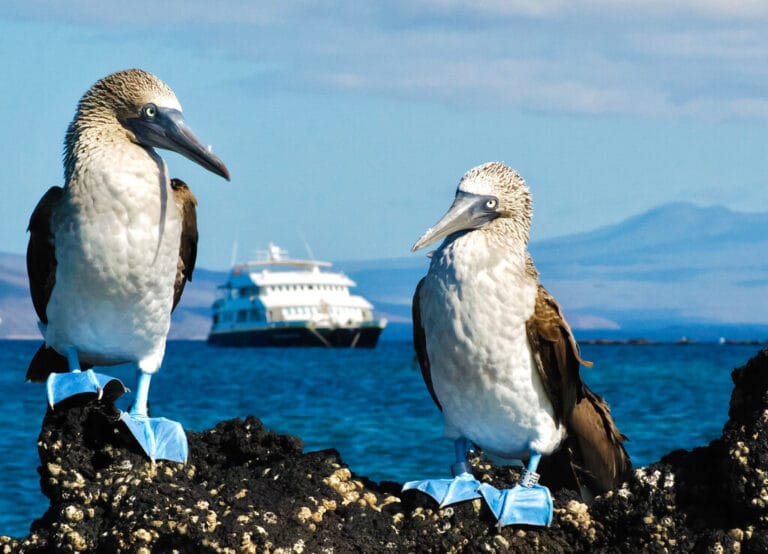 Galápagos Escape