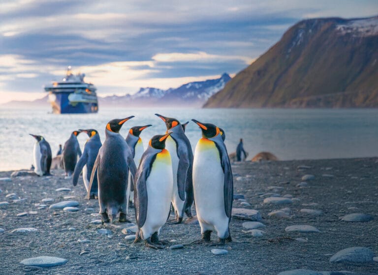 Antarctica Expeditions