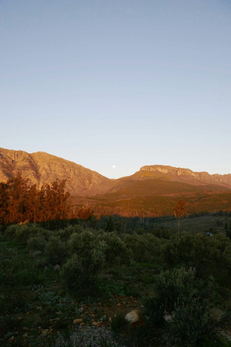Mountain range at sunset, green foreground